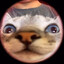 Mr. Cat