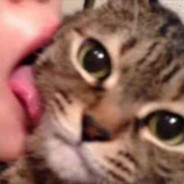 красивый + умный