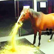 horse
