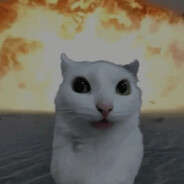 meow