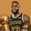 LeBron James #1 Fan