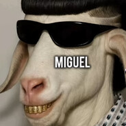 mogg-moses avatar