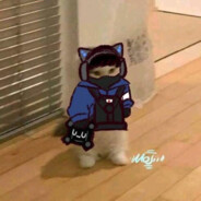 东北雨夜的娜娜