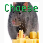 VORIG