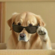 中年期金价男大