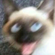 望舒舒舒舒舒舒舒