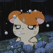 Hamtaro