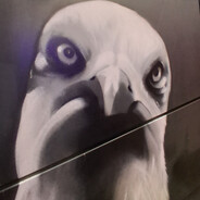 кря кря кря сучар