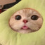 Xioto_