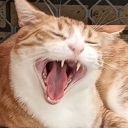 Monty