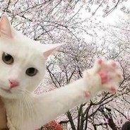 卡咪撒嘛
