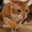 Weed Smoking Cat (It/Its)