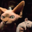 ♥ Kitty Galore ♥