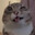 Freaky Kitty