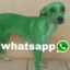 вотсап собака Avatar of player вотсап собака