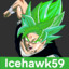 icehawk59