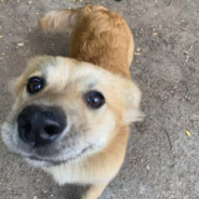 天雷滚滚我好怕怕