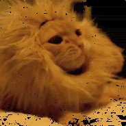 这问题早就有答案