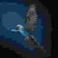 little blue macaw