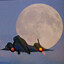 Avatar of player On3TARGEt