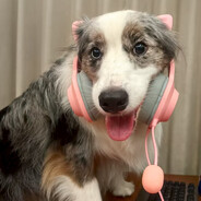 朝你屁屁电一枪