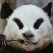 风欲静而树欲摇，你小子又想作妖