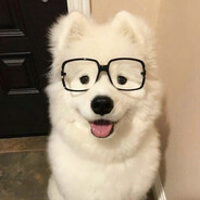 Turtlesworth