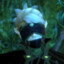 EmotionalGarbage's avatar