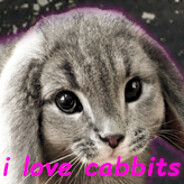 i love cabbits &lt;3