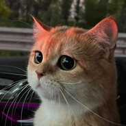 33333333333333333333 - steam id 76561198868485099