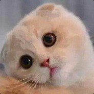 青春活泼可爱的饺子