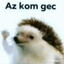 Az kom gec