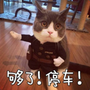 想比我聪明,你的猪头会爆掉的