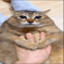 Almond