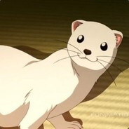 TheFerret