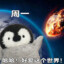 鲨鱼辣椒