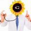 Dr. Sunflower