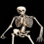 Mr. Bones (Real)