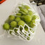 GREEN GRAPE ENJOYER