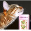 КОШКИНА ЛЮБОВЬ