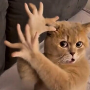 BEER Мякушек avatar