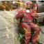 El agente de Gaben's avatar