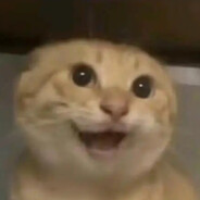 把特感全部上市