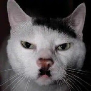 𝐇𝐢𝐭𝐥𝐞𝐫