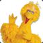 Bigbird