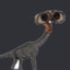 binoxsaur