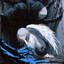 Misery's avatar