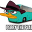 Perry the Platybus