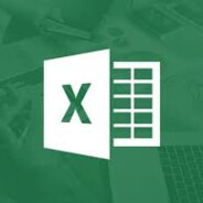 MicrosoftExcel