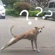 AKa 海鸥不再眷恋大海